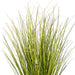 24" Switchgrass Artificial Plant w/Pot -Green/Brown - TN252324