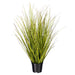 24" Switchgrass Artificial Plant w/Pot -Green/Brown - TN252324