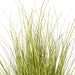 36" Switchgrass Artificial Plant w/Pot -Green/Brown - TN252336