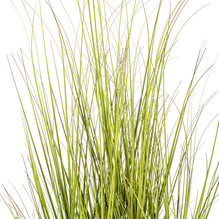 60" Switchgrasss Artificial Plant w/Pot -Green/Brown - TN252360