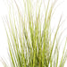 60" Switchgrasss Artificial Plant w/Pot -Green/Brown - TN252360