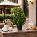 24" Outdoor UV-Resistant Artificial Boxwood Teardrop-Shaped Topiary w/Planter, Micro LED Pre-Lit -Green - TP171524LED
