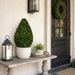24" Outdoor UV-Resistant Artificial Boxwood Teardrop-Shaped Topiary w/Pot -Green - TP171524