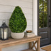 24" Outdoor UV-Resistant Artificial Boxwood Teardrop-Shaped Topiary w/Pot -Green - TP171524