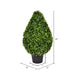24" Outdoor UV-Resistant Artificial Boxwood Teardrop-Shaped Topiary w/Pot -Green - TP171524