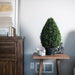 24" Outdoor UV-Resistant Artificial Boxwood Teardrop-Shaped Topiary w/Pot -Green - TP171524