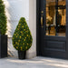 36" Outdoor UV-Resistant Artificial Boxwood Teardrop-Shaped Topiary w/Planter, Micro LED Pre-Lit -Green - TP171536LED
