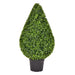 36" Outdoor UV-Resistant Artificial Boxwood Teardrop-Shaped Topiary w/Pot -Green - TP171536