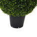 36" Outdoor UV-Resistant Artificial Boxwood Teardrop-Shaped Topiary w/Pot -Green - TP171536