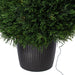 36" Outdoor UV-Resistant Artificial Cedar Teardrop-Shaped Topiary w/Planter, Micro LED Pre-Lit -Green - TP171636LED