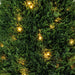 36" Outdoor UV-Resistant Artificial Cedar Teardrop-Shaped Topiary w/Planter, Micro LED Pre-Lit -Green - TP171636LED