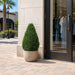 36" Outdoor UV-Resistant Artificial Cedar Teardrop-Shaped Topiary w/Pot -Green - TP171636