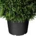 36" Outdoor UV-Resistant Artificial Cedar Teardrop-Shaped Topiary w/Pot -Green - TP171636