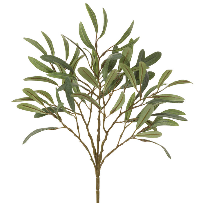 15" Artificial Olive Leaf Plant -Green (pack of 12) - VBO748-GR