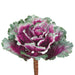 11.5" Artificial Ornamental Cabbage Pick -Purple/Green (pack of 12) - VKC080-PU/GR