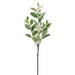 32" Silk Lemon Blossom Flower Stem -White (Pack of 12) - VSL748-WH