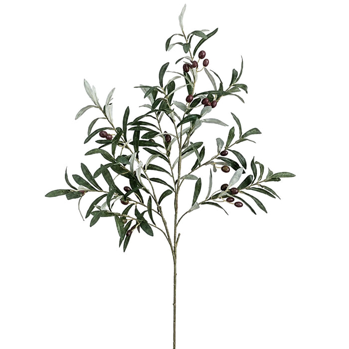 39" Artificial Olive Leaf Stem With Olives -Green/Plum (Pack of 12) - VSO229-GR/PL