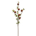 36" Silk Pomegranate Fruit Leaf Stem -Brown (pack of 6) - VSP600-BR