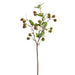 31" Silk Raspberry Fruit Leaf Stem -Green (pack of 12) - VSR061-GR