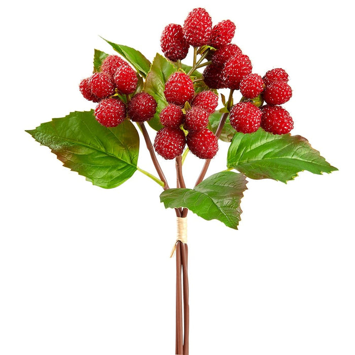 Red Raspberry Stem 12