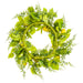 24" Artificial Lemon & Fern Greenery Wreath -Yellow (pack of 2) - VWX125-YE