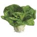 3.5" Artificial Cabbage -Green (pack of 12) - VZC014-GR