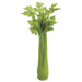 11" Fake Celery Vegetable -Green (pack of 12) - VZC210-GR