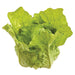 4.7"Hx4.3"W Fake Lettuce Vegetable -Green (pack of 8) - VZL180-GR