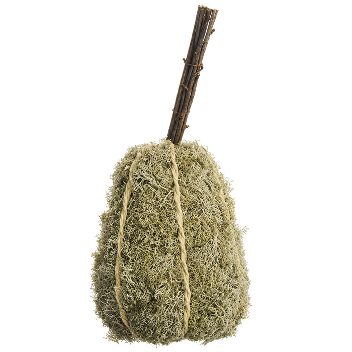 13"Hx5.5"W Preserved Spanish Moss Pumpkin -Beige/Green (Pack of 4) - VZP010-BE/GR