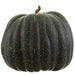19"Hx21"W Artificial Pumpkin -Green - VZP361-GR
