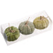 3.5" Set Of Artificial Velvet Pumpkins -2 Tone Green (Pack of 6) - VZP725-GR/TT