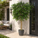 6' Custom-Made Outdoor UV-Proof Artificial Japanese Maple Tree w/Pot -Green - W1000G