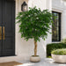 6' Custom-Made Outdoor UV-Proof Artificial Japanese Maple Tree w/Pot -Green - W1000G