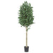 5' Custom-Made Outdoor UV-Proof Artificial Cone-Shaped Topiary Olive Tree w/Pot -Green - W113805
