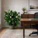 44" Custom-Made Soft-Touch Flowering Peace Lily Spathiphyllum Silk Plant w/Pot -Green/Cream - W1390