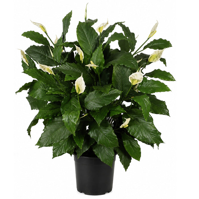 44" Custom-Made Soft-Touch Peace Lily Spathiphyllum Silk Plant w/Pot -Green/Cream - W1390