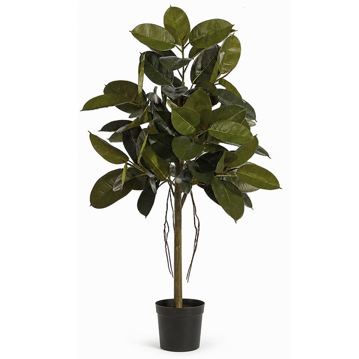 4' Rubber Leaf Silk Tree w/Pot -Green - W-1560
