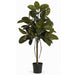 4' Rubber Leaf Silk Tree w/Pot -Green - W-1560