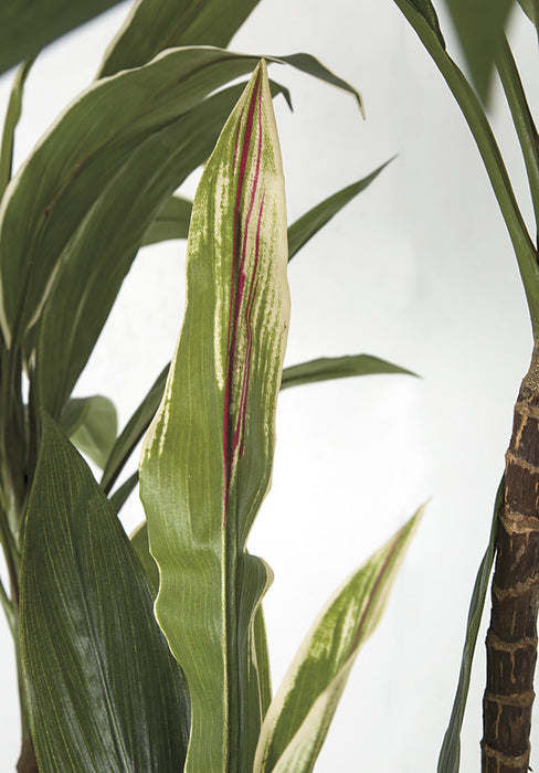 5' Cordyline Silk Plant w/Pot -Green/Cream - W170020
