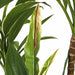 5' Cordyline Silk Plant w/Pot -Green/Cream - W170020