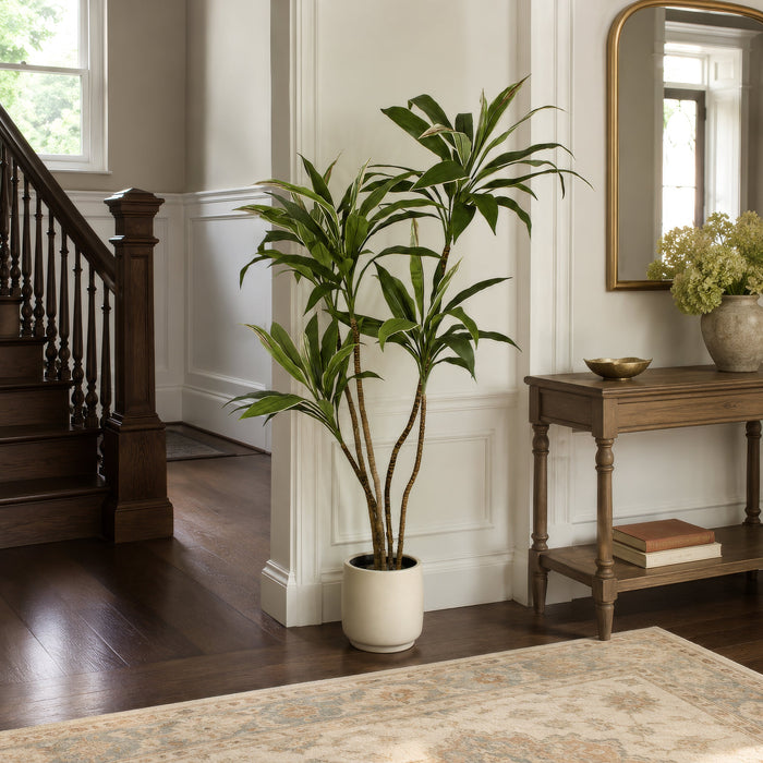 5' Cordyline Silk Plant w/Pot -Green/Cream - W170020