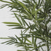 7' Natural Green Trunk Silk Royal Bamboo Tree w/Pot -Green - W170075