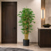 6' Silk Royal Bamboo Tree w/Pot -Green - W170200