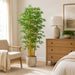 6' Silk Royal Bamboo Tree w/Pot -Green - W170200
