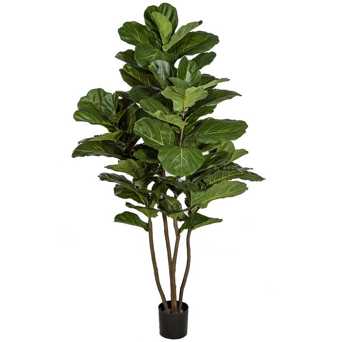 6'6" Silk Fiddle Leaf Fig Tree w/Pot -Green - W190050