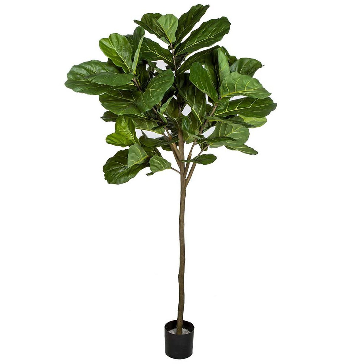 7' Silk Fiddle Leaf Fig Tree w/Pot Green — Silks