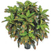 3' Natural Trunk Croton Leaf Silk Plant w/Pot -Green/Red - W-190070