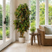 6' Natural Trunk Croton Leaf Silk Plant w/Pot -Green/Red - W-190080