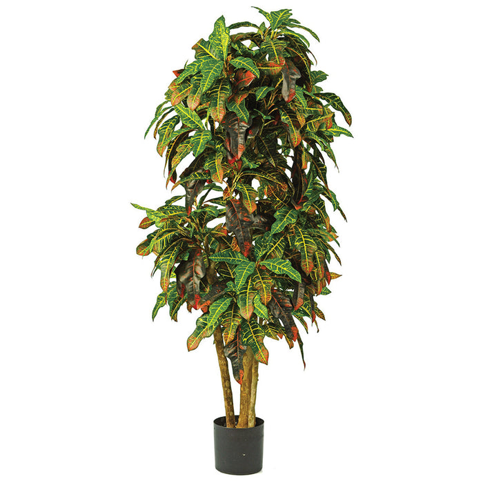 6' Natural Trunk Croton Leaf Silk Plant w/Pot -Green/Red - W-190080