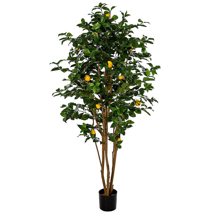 6' Artificial Lemon Fruit Tree w/Plastic Pot -Orange/Green - W200070